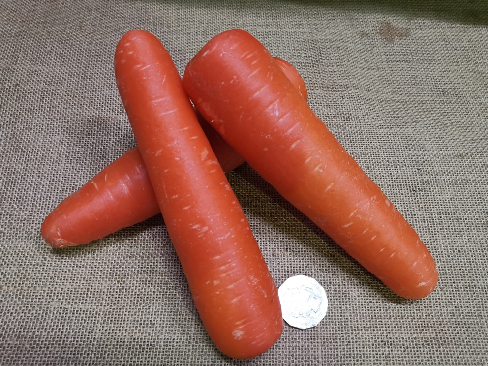 Carrots - Large