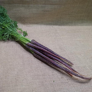 Carrots - Purple Dutch