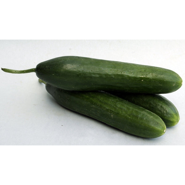 Cucumber - Lebanese – The Fruit Ute