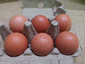 Eggs - Free Ranged (half dozen)