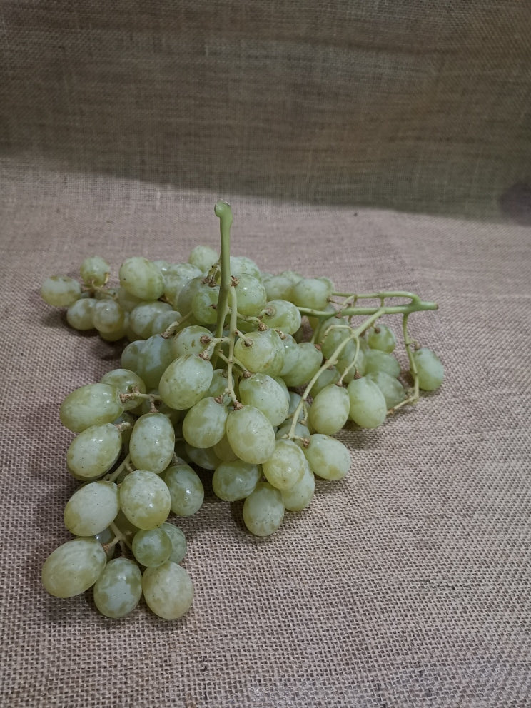 Grapes - White Seedless
