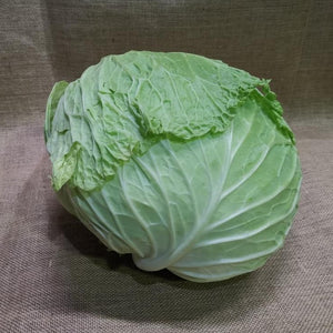 Cabbage - Savoy