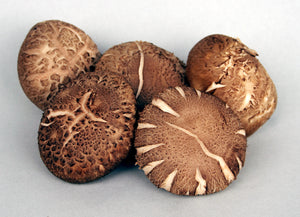 Mushrooms - Shitake