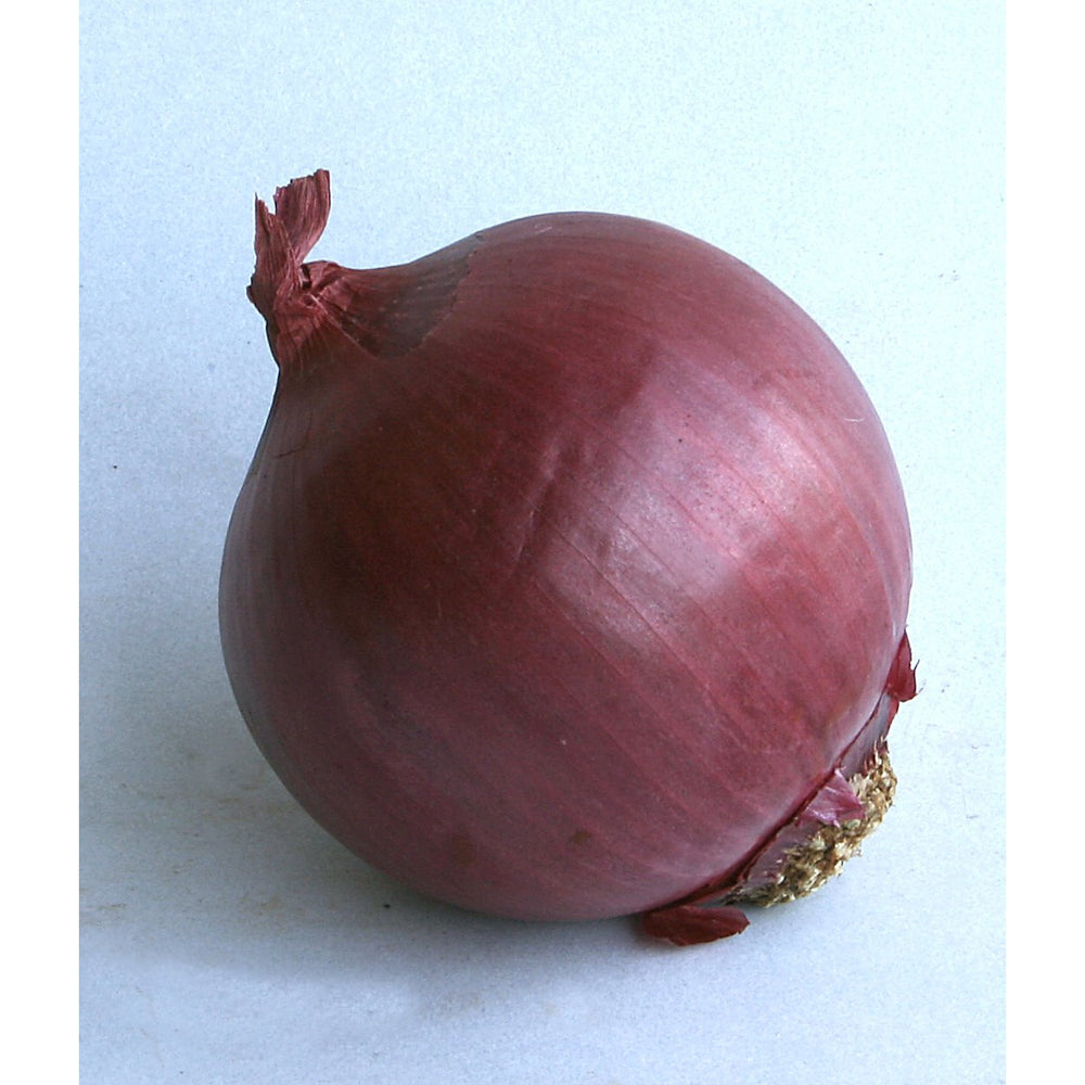 Onions - Salad - Large
