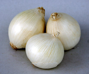 Onions - White