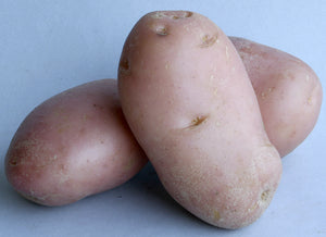 Potatoes - Desiree - Extra Large