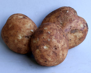 Potatoes - Sebago