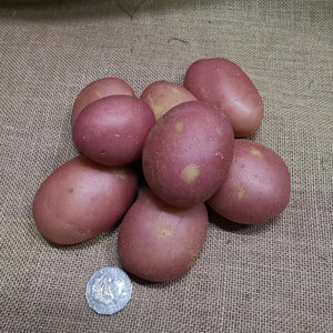 Potatoes - Desiree Chat