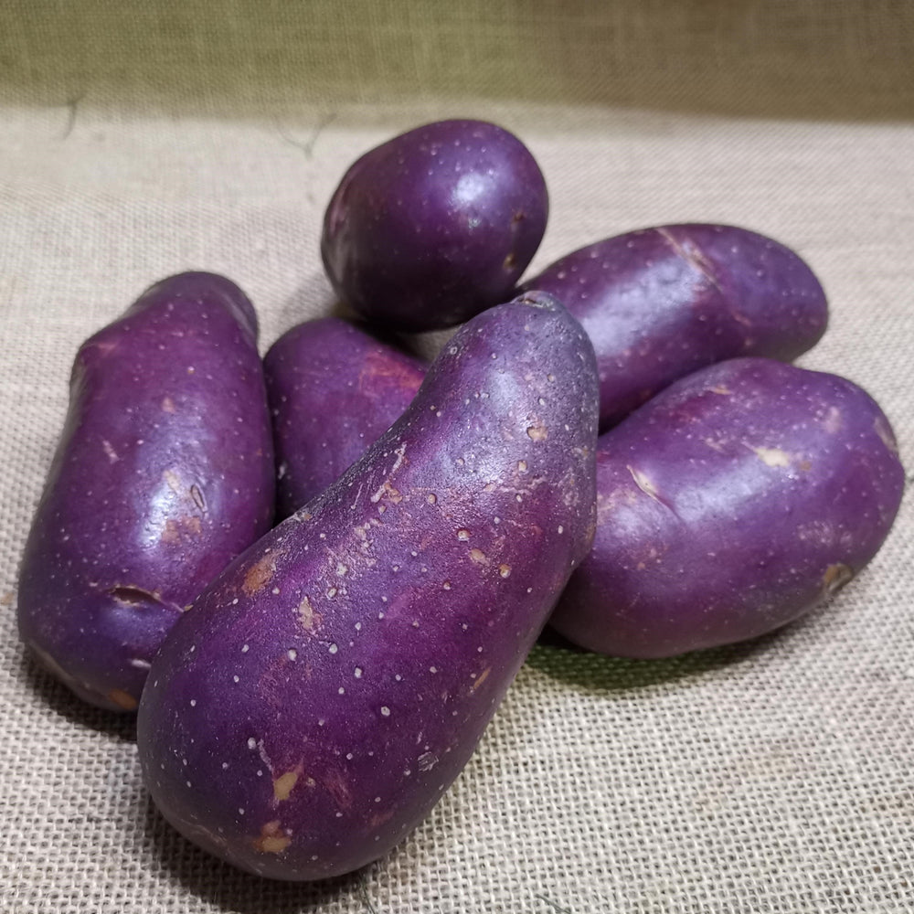 Potatoes - Royal Blue