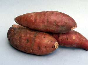 Sweet Potato - Medium
