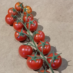 Tomatoes - Cherry - Truss